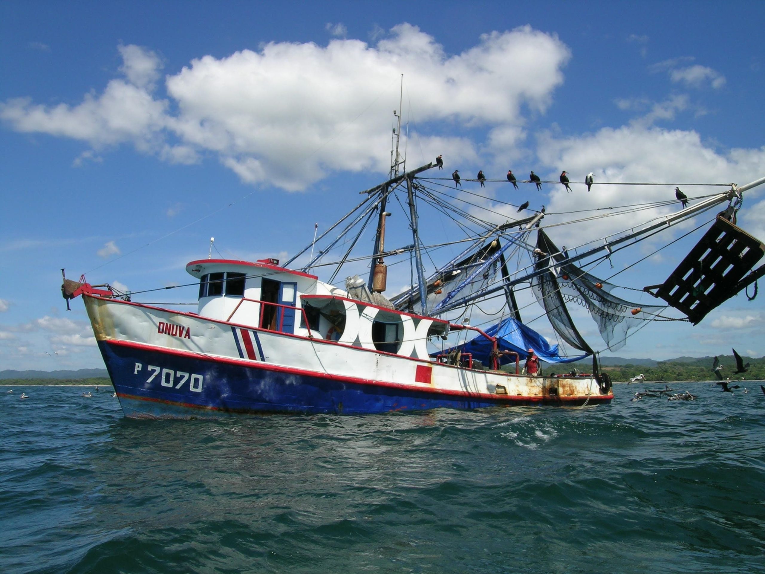 Barco Camaronero